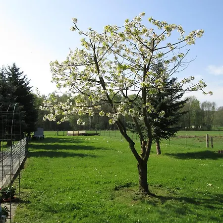 Apartamento Pfeiffer's Ferienwohnung Oberlausitz